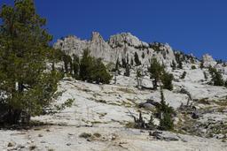 March of the slabs [sat aug 23 11:01:27 mdt 2025]